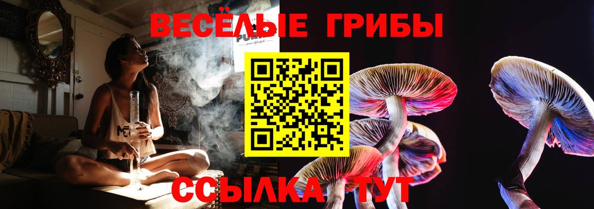 Псилоцибиновые грибы Psilocybe  Галлюциногенные грибы Magic Shrooms  Кольчугино  Вход с VPN 